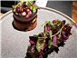 brioche with duck